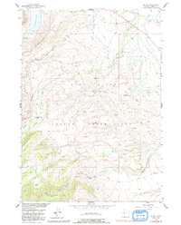 Download a high-resolution, GPS-compatible USGS topo map for Burris, WY (1991 edition)