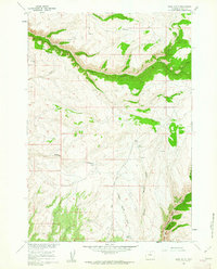 Download a high-resolution, GPS-compatible USGS topo map for Bush Butte, WY (1962 edition)