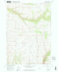 Download a high-resolution, GPS-compatible USGS topo map for Bush Butte, WY (1975 edition)