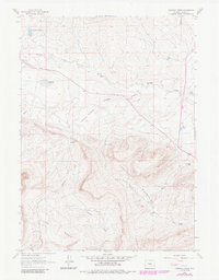 Download a high-resolution, GPS-compatible USGS topo map for Cameron Creek, WY (1985 edition)