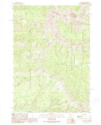 Download a high-resolution, GPS-compatible USGS topo map for Canoe Lake, WY (1989 edition)