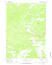 Download a high-resolution, GPS-compatible USGS topo map for Caribou Creek, WY (1978 edition)