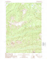Download a high-resolution, GPS-compatible USGS topo map for Cathedral Peak, WY (1989 edition)