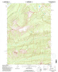 Download a high-resolution, GPS-compatible USGS topo map for Cathedral Peak, WY (1996 edition)