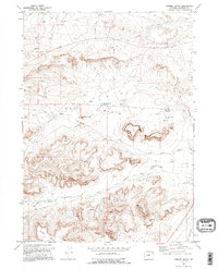 Download a high-resolution, GPS-compatible USGS topo map for Chimney Butte, WY (1995 edition)