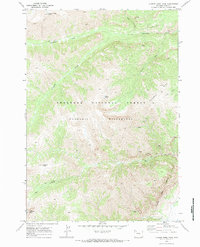 Download a high-resolution, GPS-compatible USGS topo map for Clouds Home Peak, WY (1984 edition)