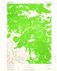Download a high-resolution, GPS-compatible USGS topo map for Cony Mountain, WY (1963 edition)