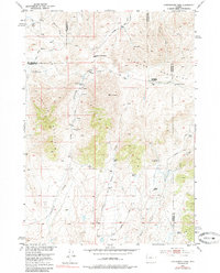 Download a high-resolution, GPS-compatible USGS topo map for Cottonwood Pass, WY (1985 edition)