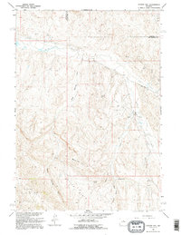 Download a high-resolution, GPS-compatible USGS topo map for Coyote Hill, WY (1995 edition)