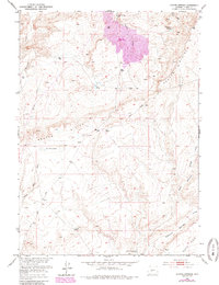 Download a high-resolution, GPS-compatible USGS topo map for Coyote Springs, WY (1985 edition)