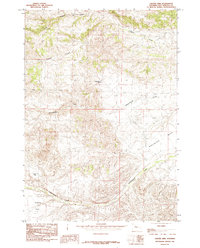 Download a high-resolution, GPS-compatible USGS topo map for Crater Sink, WY (1985 edition)