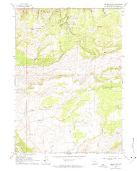 Download a high-resolution, GPS-compatible USGS topo map for Crimson Dawn, WY (1964 edition)