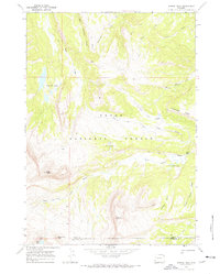 preview thumbnail of historical topo map of Teton County, WY in 1967