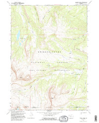 Download a high-resolution, GPS-compatible USGS topo map for Darwin Peak, WY (1995 edition)