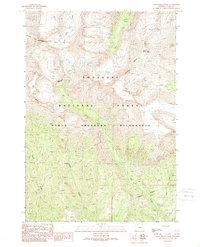 Download a high-resolution, GPS-compatible USGS topo map for Dead Indian Peak, WY (1989 edition)