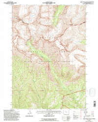 Download a high-resolution, GPS-compatible USGS topo map for Dead Indian Peak, WY (1996 edition)
