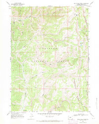 Download a high-resolution, GPS-compatible USGS topo map for Devils Hole Creek, WY (1971 edition)