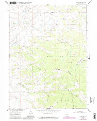 Download a high-resolution, GPS-compatible USGS topo map for Divide Peak, WY (1984 edition)