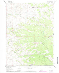 Download a high-resolution, GPS-compatible USGS topo map for Divide Peak, WY (1984 edition)