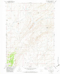 Download a high-resolution, GPS-compatible USGS topo map for Doty Mountain, WY (1983 edition)