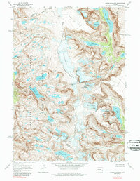 Download a high-resolution, GPS-compatible USGS topo map for Downs Mountain, WY (1987 edition)