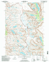Download a high-resolution, GPS-compatible USGS topo map for Downs Mountain, WY (1997 edition)
