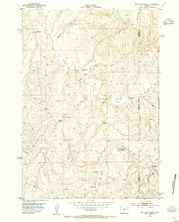1953 Map of Dry Fork Ranch, 1954 Print