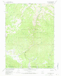 Download a high-resolution, GPS-compatible USGS topo map for Dudley Creek, WY (1973 edition)