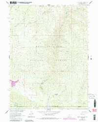 Download a high-resolution, GPS-compatible USGS topo map for Dudley Creek, WY (1984 edition)