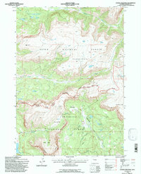 Download a high-resolution, GPS-compatible USGS topo map for Dundee Meadows, WY (1997 edition)