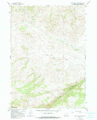 Download a high-resolution, GPS-compatible USGS topo map for Eagle Nest Ranch, WY (1991 edition)