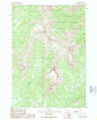 Download a high-resolution, GPS-compatible USGS topo map for Eagle Peak, WY (1989 edition)