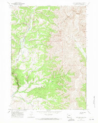 Download a high-resolution, GPS-compatible USGS topo map for East Fork Basin, WY (1971 edition)