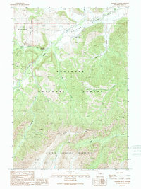 Download a high-resolution, GPS-compatible USGS topo map for Elkhorn Peak, WY (1989 edition)