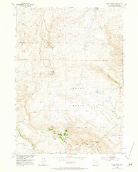 Download a high-resolution, GPS-compatible USGS topo map for Ervay Basin, WY (1965 edition)
