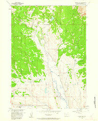 Download a high-resolution, GPS-compatible USGS topo map for Esmond Park, WY (1963 edition)