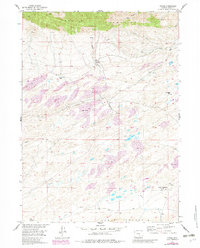 Download a high-resolution, GPS-compatible USGS topo map for Ferris, WY (1983 edition)