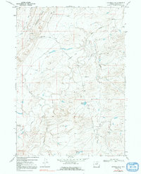 Download a high-resolution, GPS-compatible USGS topo map for Fiftymile Flat, WY (1991 edition)