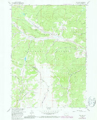 Download a high-resolution, GPS-compatible USGS topo map for Fish Lake, WY (1987 edition)