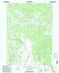 Download a high-resolution, GPS-compatible USGS topo map for Fish Lake, WY (1997 edition)