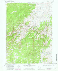 Download a high-resolution, GPS-compatible USGS topo map for Fletcher Park, WY (1981 edition)
