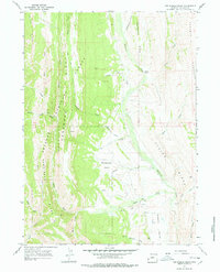 Download a high-resolution, GPS-compatible USGS topo map for Fontenelle Basin, WY (1978 edition)
