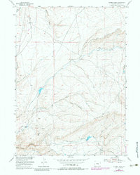 Download a high-resolution, GPS-compatible USGS topo map for Fourmile Ridge, WY (1983 edition)