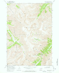 Download a high-resolution, GPS-compatible USGS topo map for Francs Peak, WY (1978 edition)