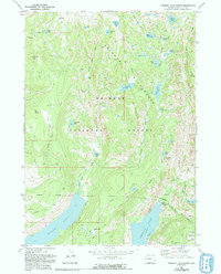Download a high-resolution, GPS-compatible USGS topo map for Fremont Lake North, WY (1993 edition)
