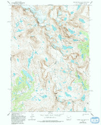 Download a high-resolution, GPS-compatible USGS topo map for Fremont Peak South, WY (1993 edition)
