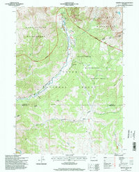 Download a high-resolution, GPS-compatible USGS topo map for Granite Falls, WY (1998 edition)