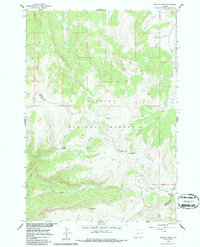 Download a high-resolution, GPS-compatible USGS topo map for Granite Pass, WY (1986 edition)