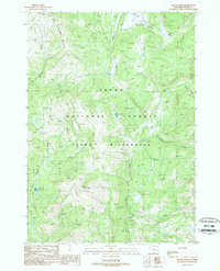 Download a high-resolution, GPS-compatible USGS topo map for Gravel Peak, WY (1989 edition)