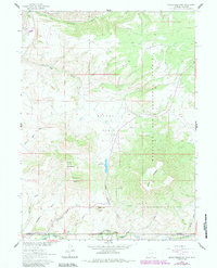 Download a high-resolution, GPS-compatible USGS topo map for Grieve Reservoir, WY (1984 edition)